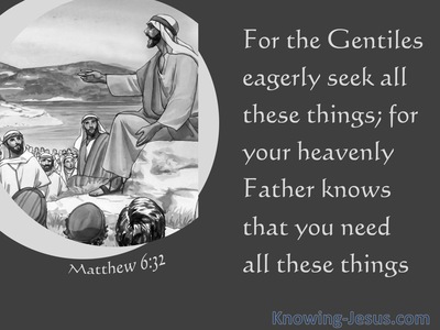 Matthew 6:32 Your Heavenly Father Knows You Need All These Things (gray)